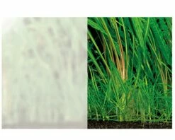 ADA - Aqua Screen Foggy -Aquarienbedarf Verkaufsladen 102 720 102 721 102 723 102 724 102 725Aqua screen foggy 03 Kopie6NX0k8XKBcPrx 1280x1280