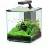 Aquatlantis - Nano Cubic 30 - Komplett-Aquarium Ohne Unterschrank