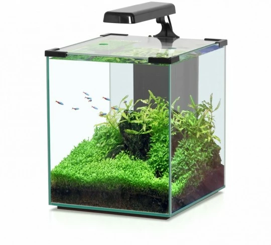 Aquatlantis - Nano Cubic 30 - Komplett-Aquarium Ohne Unterschrank 1 Aquatlantis - Nano Cubic 30 - Komplett-Aquarium Ohne Unterschrank