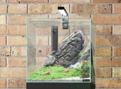 Aquatlantis - Kubus - Komplett-Aquarium Ohne Unterschrank -Aquarienbedarf Verkaufsladen 20210511112710 7bRFwAhm resize w 690 kar 1 q 100 1280x1280