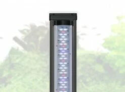 Aquatlantis - Aquaplasma 70 - Komplett-Aquarium -Aquarienbedarf Verkaufsladen 20210730121736 I9Tgb4E1 resize w 690 kar 1 q 100Y8x84cF5HE9mz 1280x1280