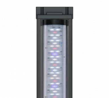 Aquatlantis - Prestige 80 - Aquarium-Kombination Mit Unterschrank 3 Aquatlantis - Prestige 80 - Aquarium-Kombination Mit Unterschrank – Bild 3