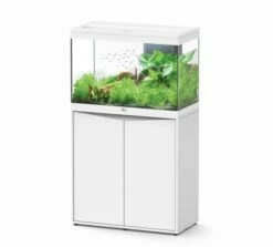 Aquatlantis - Splendid 145 - Aquarium-Kombination Mit Unterschrank