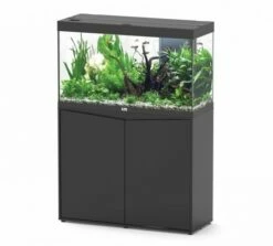 Aquatlantis - Splendid 200 - Aquarium-Kombination Mit Unterschrank