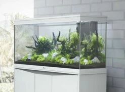 Aquatlantis - Splendid 200 - Aquarium-Kombination Mit Unterschrank -Aquarienbedarf Verkaufsladen 20211123081426 PR8TSwAG resize w 690 kar 1 q 1007Aki6EChUgsQp 1280x1280