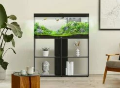 Aquatlantis - Prestige 80 - Aquarium-Kombination Mit Stand Regal 10 Aquatlantis - Prestige 80 - Aquarium-Kombination Mit Stand Regal -Aquarienbedarf Verkaufsladen 20221221155654 rUThhgk9 resize w 690 kar 1 q 1001Z1i9NOndstxx 1280x1280