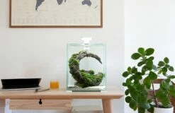 Aquael - Aquarienset SHRIMP SET / Day & Night -Aquarienbedarf Verkaufsladen 45a122981 2 1280x1280