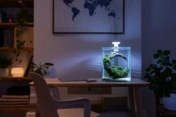 Aquael - Aquarienset SHRIMP SET / Day & Night -Aquarienbedarf Verkaufsladen 45a122981 3 1280x1280