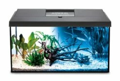 Aquael - Aquarienset LEDDY 2.0 – Day & Night -Aquarienbedarf Verkaufsladen 45a124282 Black Leddy DayundNight 1280x1280