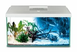 Aquael - Aquarienset LEDDY 2.0 – Day & Night -Aquarienbedarf Verkaufsladen 45a124287 1 1280x1280