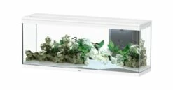 Aquatlantis - Splendid 300 - Komplett-Aquarium Ohne Unterschrank