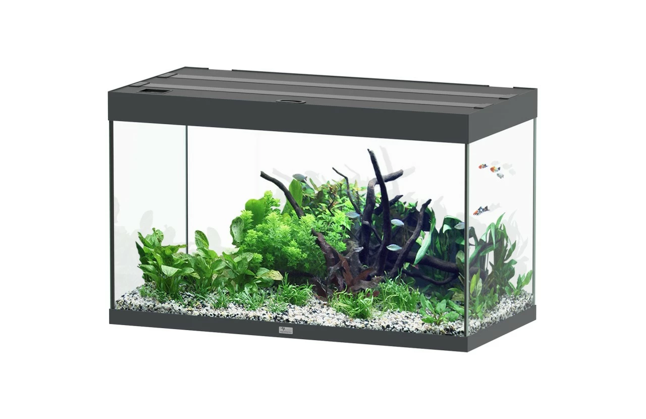 Aquatlantis - Sublime 245 - Komplett-Aquarium Ohne Unterschrank 1 Aquatlantis - Sublime 245 - Komplett-Aquarium Ohne Unterschrank