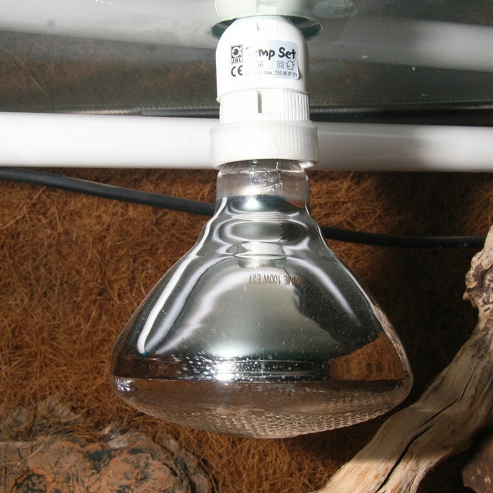 JBL UV Spot Plus 4 JBL UV Spot Plus – Bild 4