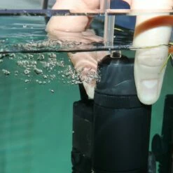 JBL PROCRISTAL I30 -Aquarienbedarf Verkaufsladen 77203 1280x1280