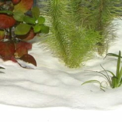 JBL Zanzibar SNOW -Aquarienbedarf Verkaufsladen 80875 1280x1280