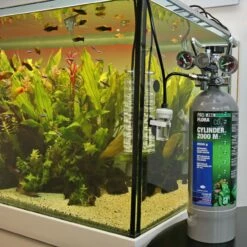 JBL PROFLORA CO2 CYLINDER 2000 M -Aquarienbedarf Verkaufsladen 91730 1280x1280