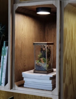 ONF MIST O - Magnetic Plant Light -Aquarienbedarf Verkaufsladen Bildschirmfoto 2022 06 24 um 08 29 33 1280x1280