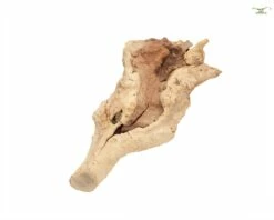 Terrarium Climbing Root About 20-30 Cm -Aquarienbedarf Verkaufsladen DSC025108FIUxCdkIGpqd 1280x1280