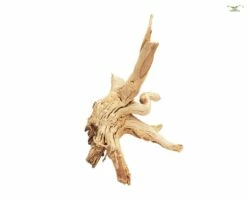 Terrarium Climbing Root About 20-30 Cm -Aquarienbedarf Verkaufsladen DSC02513dnxxP60UUYnVJ 1280x1280