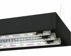 Aquael - Weißglas Aquarium ULTRASCAPE – Inkl LED -Aquarienbedarf Verkaufsladen DV 8 10578031 05 4c DE 20220830221658 1280x1280