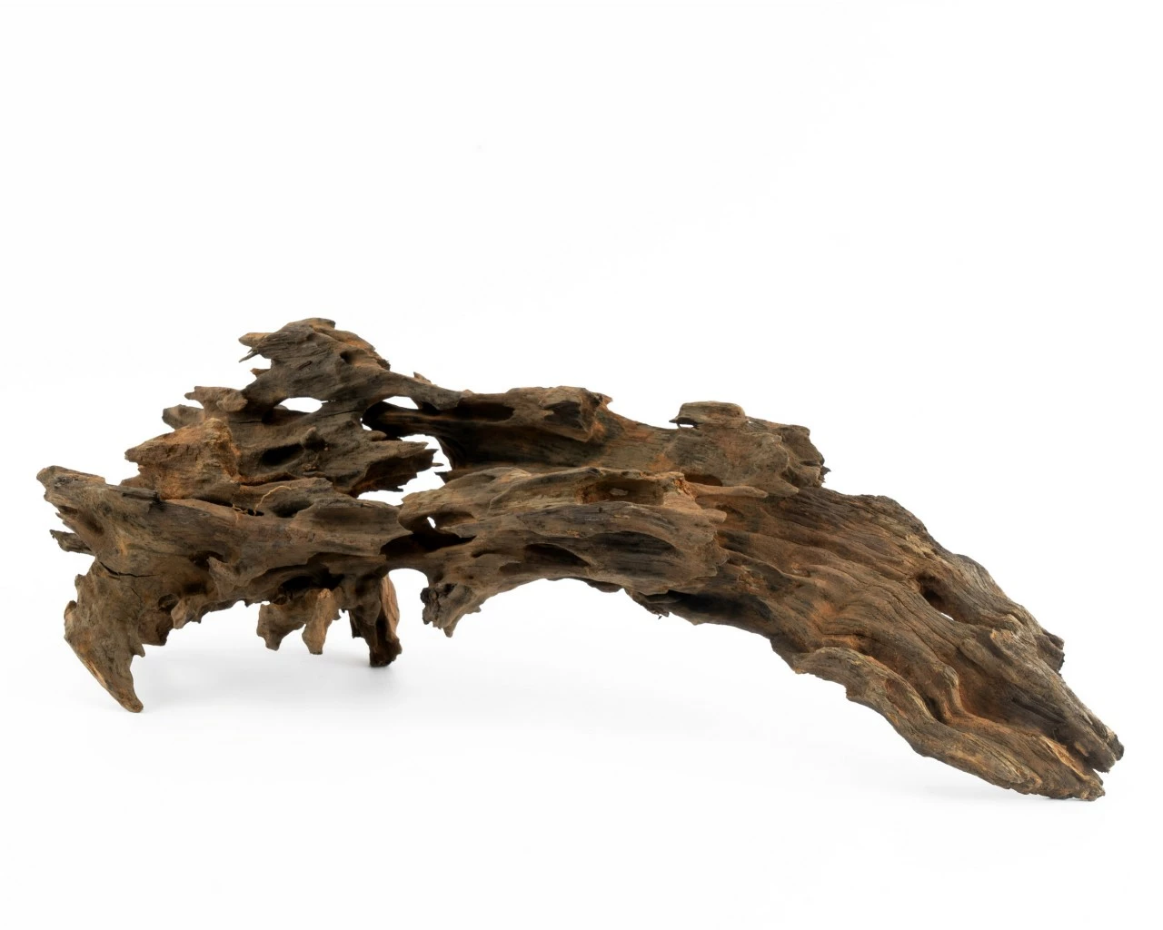 Dragon Wood 2 Dragon Wood – Bild 2