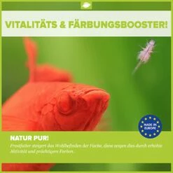 Frozen Food Bundle For Crayfish - 24 Pcs. 7 Frozen Food Bundle For Crayfish - 24 Pcs. -Aquarienbedarf Verkaufsladen Frostfutter32snUWre1AI81b 1280x1280