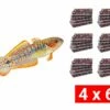 Frozen Food Bundle For Gobies - 24 Pcs.