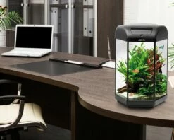 Aquael Hexa Set II 60 -Aquarienbedarf Verkaufsladen HEXA2 1280x1280