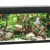 Juwel - Primo 60 Black - Complete Aquarium Without Base Cabinet