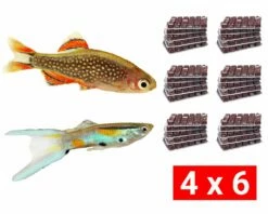 Frozen Food Bundle For Nano And Mini Fish - 24 Pcs.