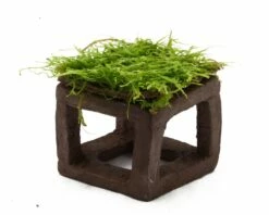 Mooscube XXL With Moss - Aquarium Deco 5 Mooscube XXL With Moss - Aquarium Deco -Aquarienbedarf Verkaufsladen Mooscube javat40E1l5StTLKo 1280x1280