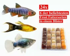 Best Of Frozen Food Mix (Top Seller) - 24 Pcs.