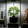 ONF MIST O - Magnetic Plant Light