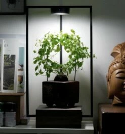 ONF MIST O - Magnetic Plant Light