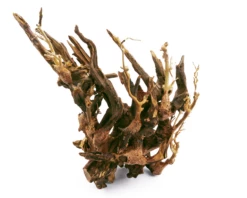 Octopus Wood For Aquascapes -Aquarienbedarf Verkaufsladen Octo2Finol2T5NU7xf0vhoX 1280x1280