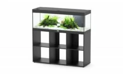 Aquatlantis - Prestige 120 - Aquarium-Kombination Mit Stand Regal