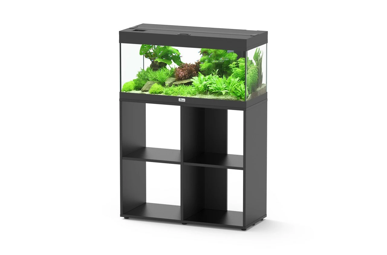 Aquatlantis - Prestige 80 - Aquarium-Kombination Mit Stand Regal 1 Aquatlantis - Prestige 80 - Aquarium-Kombination Mit Stand Regal