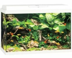 Juwel - Primo 70 - Complete Aquarium Without Base Cabinet