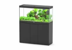 Aquatlantis - Splendid 240 - Aquarium-Kombination Mit Unterschrank