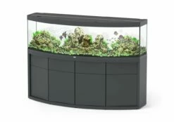 Aquatlantis - Sublime Horizon 560 - Aquarium-Kombination Mit Unterschrank