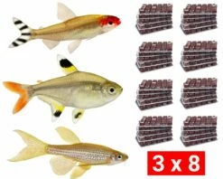 Frozen Food Bundle For Tetras And Danios - 24 Pcs.