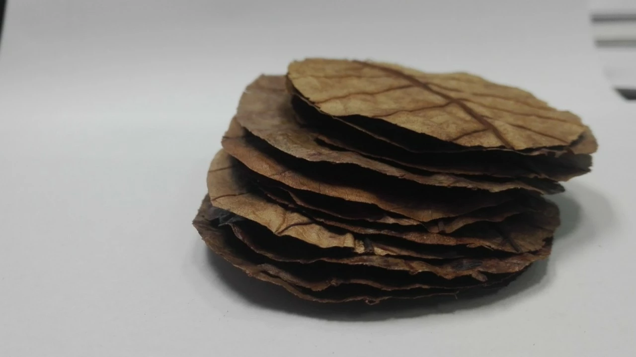 Cancer Lover Set - No. 4 5 Cancer Lover Set - No. 4 – Bild 5