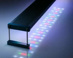 TWINSTAR - LIGHT III - C-Line - Lighting For Aquarium