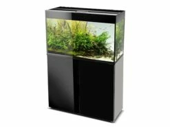 Aquael - Aquarienunterschrank GLOSSY -Aquarienbedarf Verkaufsladen aquael aquarienunterschrank glossy 80x35x73cm schwarz 1 1280x1280