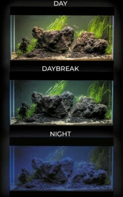 Aquael - Aquarienset OPTISET 2.0 -Aquarienbedarf Verkaufsladen aquael aquariumset opti set 240 20 weiss 206271 de 1280x1280