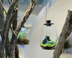 BioBottle - Water Drop Incl. LED 5 BioBottle - Water Drop Incl. LED -Aquarienbedarf Verkaufsladen aufha ngerwald 1280x1280