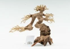 Forest Bonsai - Vers. Sizes -Aquarienbedarf Verkaufsladen claw bonsai 3dJkBYgPDSEJpJ 1280x1280