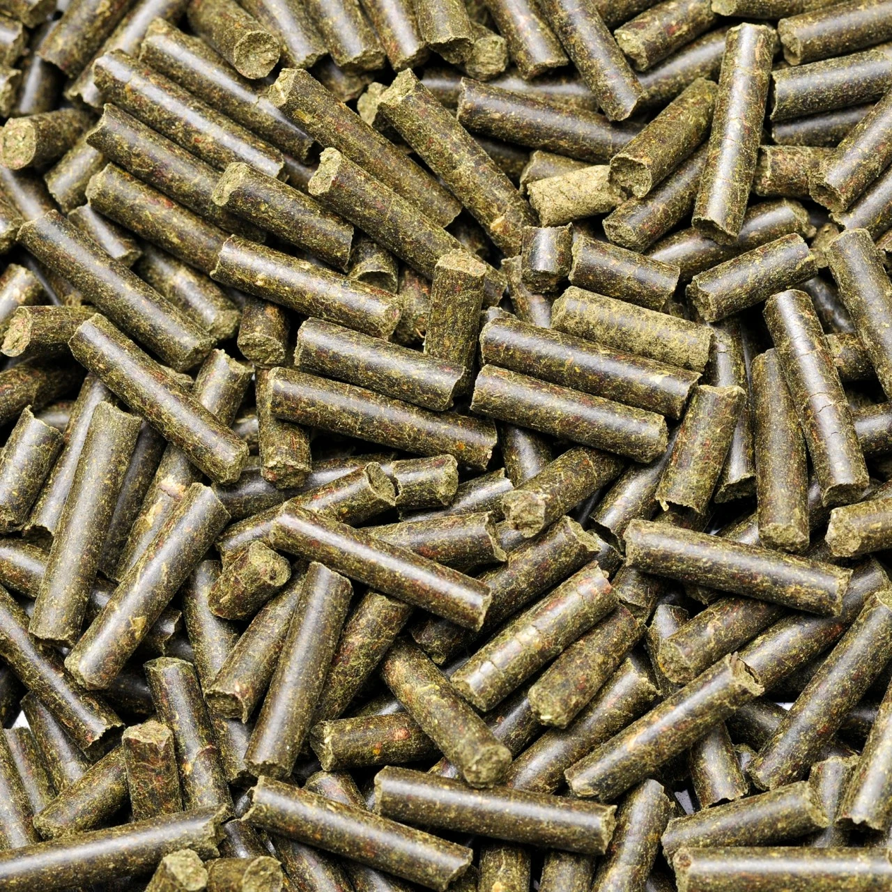 Shrimp King - Protein 4 Shrimp King - Protein – Bild 4