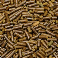 Shrimp King - Snail Stixx -Aquarienbedarf Verkaufsladen final 6122 PA I1 PIM FRO ShrimpKing SnailStixx 0PkeNNXizAZkC4 1280x1280