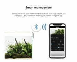 ONF - FLAT One Standard -Aquarienbedarf Verkaufsladen flatone 60 appnRTKBC3drrs4q 1280x1280